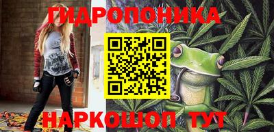 ГАЛЛЮЦИНОГЕННЫЕ ГРИБЫ Берёзовский