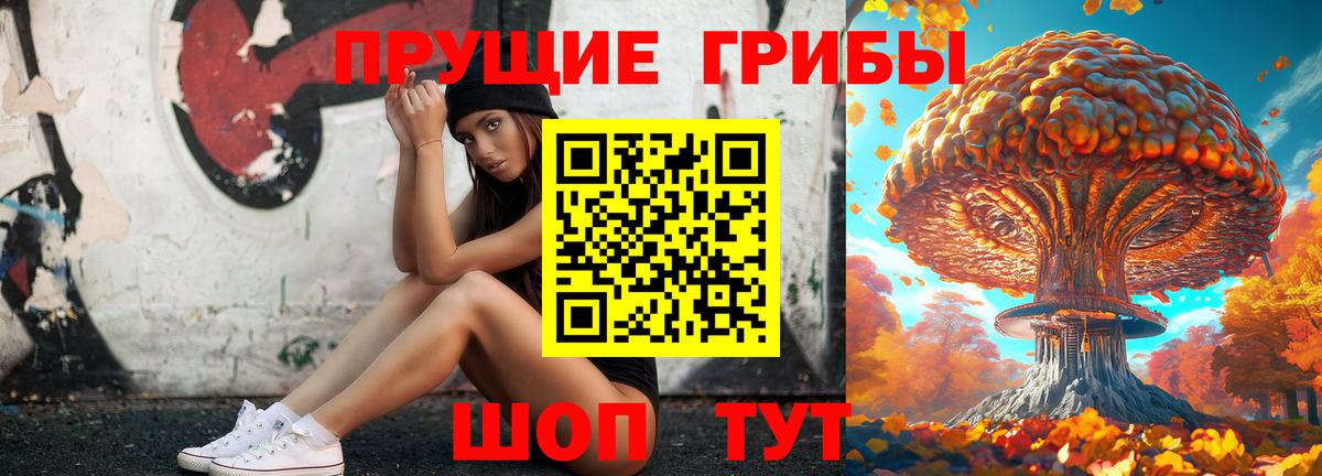 Галлюциногенные грибы Psilocybine cubensis Дубна