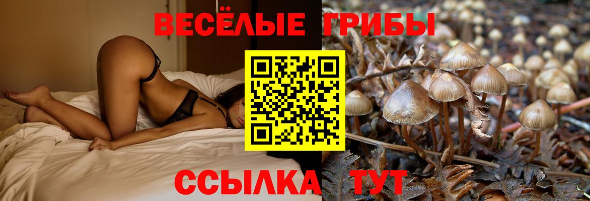 Галлюциногенные грибы MAGIC MUSHROOMS  купить наркотик  Дубна 