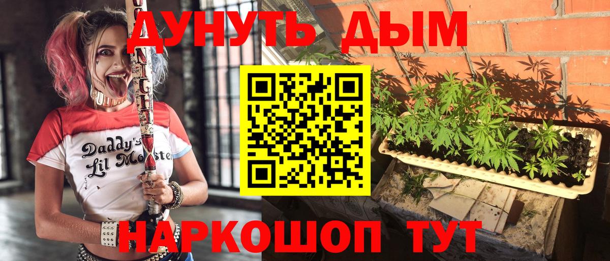 Дубна  Бошки Шишки ГИДРОПОН  Бошки Шишки MAZAR  Вход с VPN 